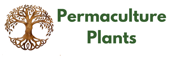 Permaculture Plants